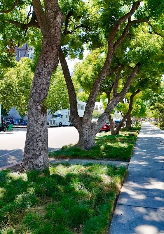 Malagon Legacy Landscaping