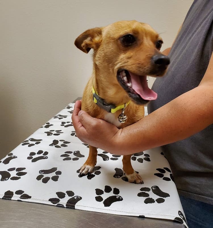 Manteca Veterinary Hospital