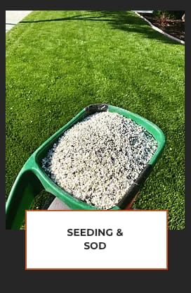 Marc McGuire Landscaping