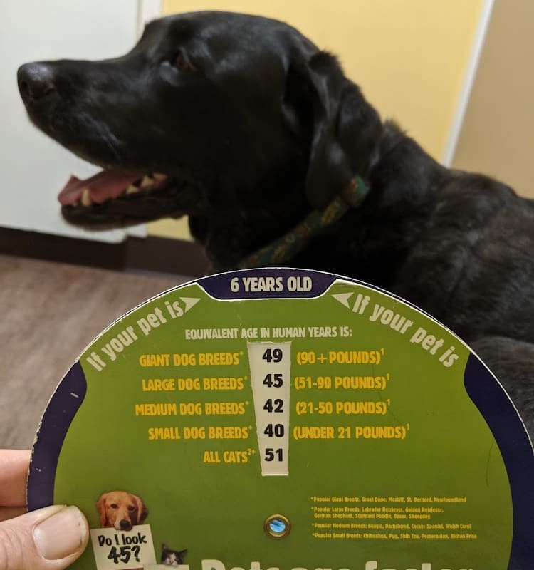 Martinez Animal Hospital