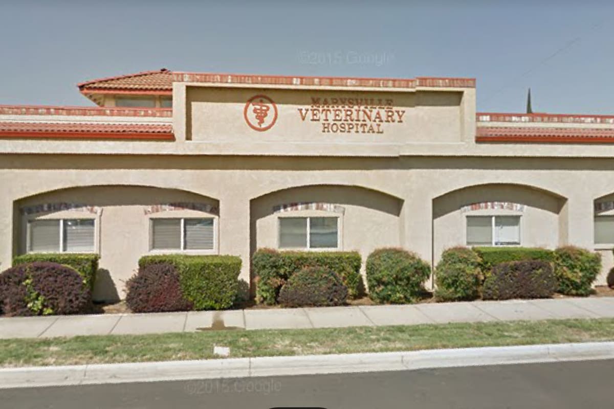 Marysville Veterinary Hospital