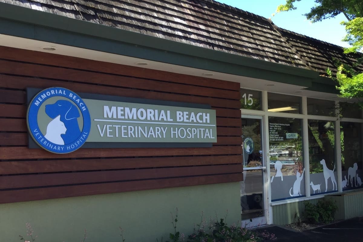 Memorial Beach Veterinary Hospital