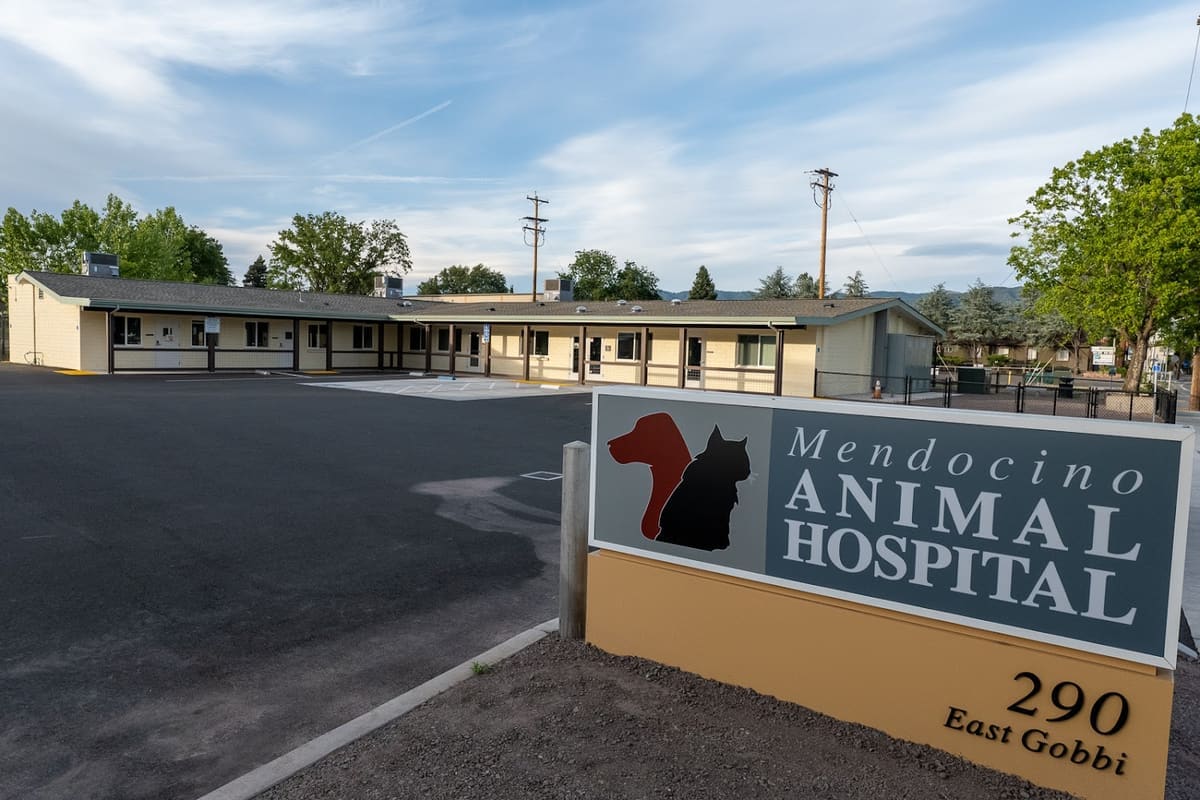 Mendocino Animal Hospital