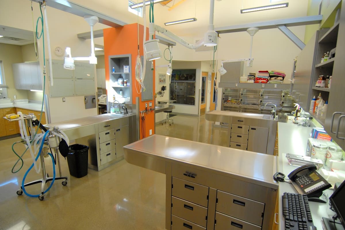Midtown Animal Clinic