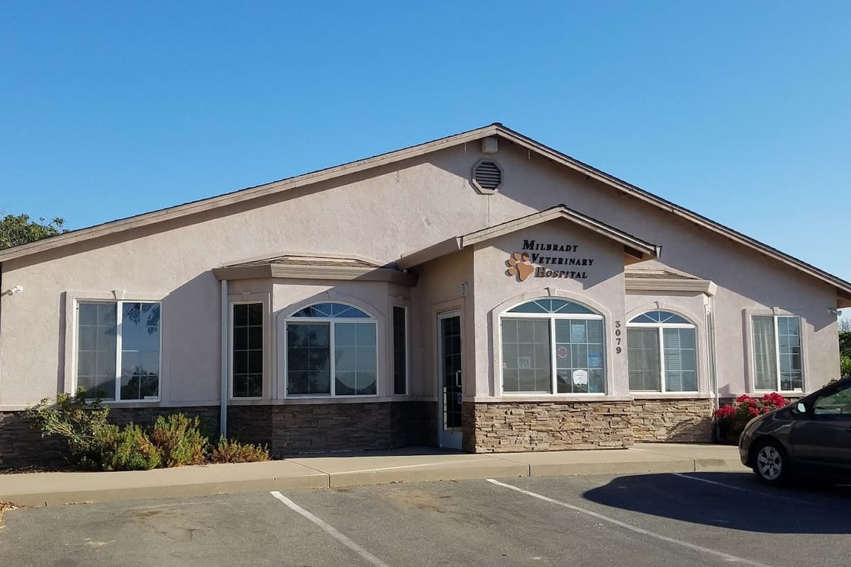 Milbradt Veterinary Hospital