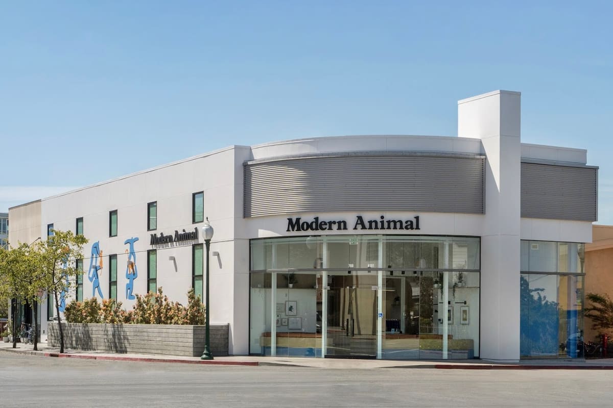 Modern Animal Berkeley