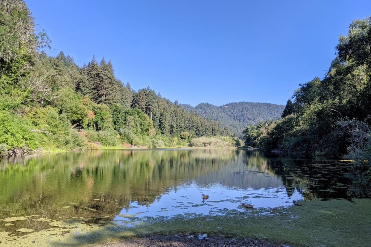 Monte Rio Recreation & Park District — Medical