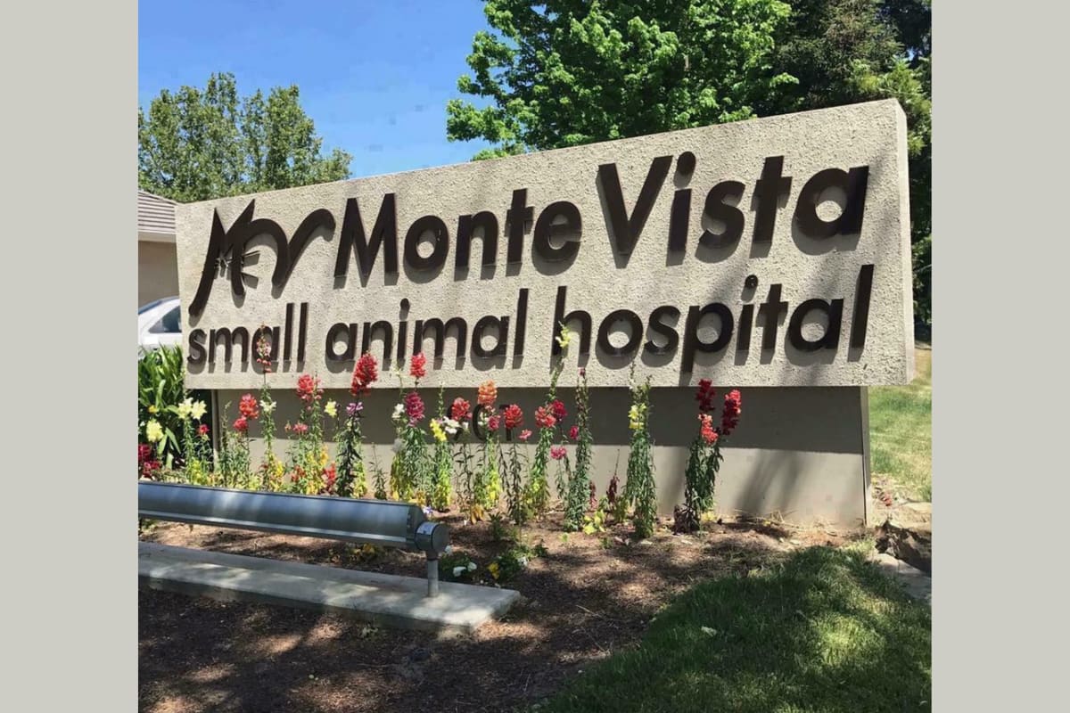 Monte Vista Small Animal Hospital