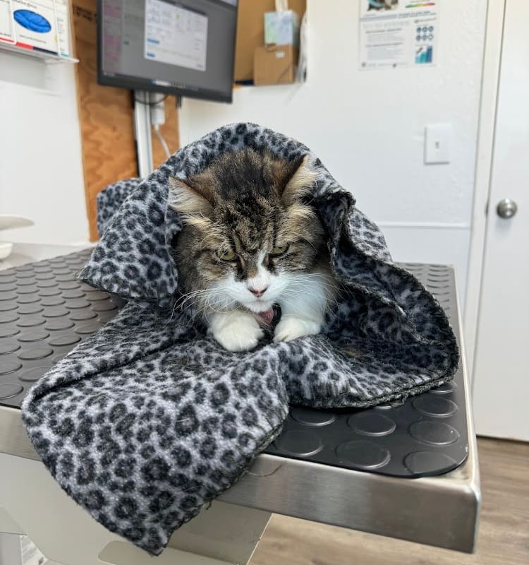 Monticello Veterinary Practice