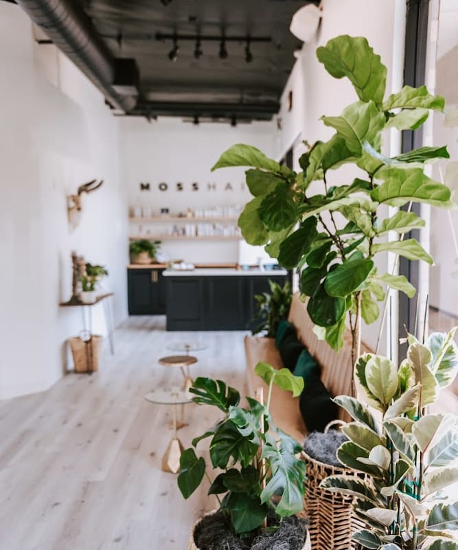 Moss Hair Salon + Spa