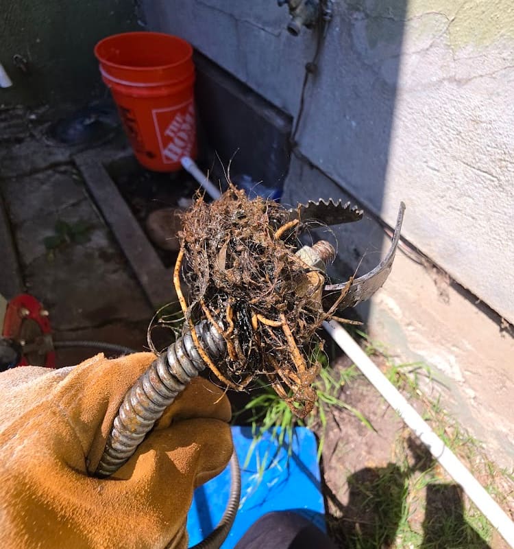 Mr. Ed's Plumbing & Rooter Service