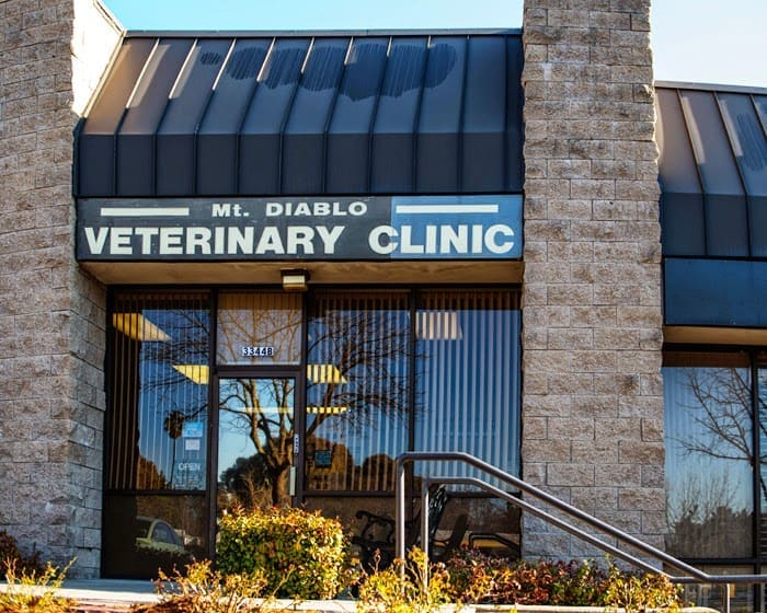Mt. Diablo Veterinary Medical Center