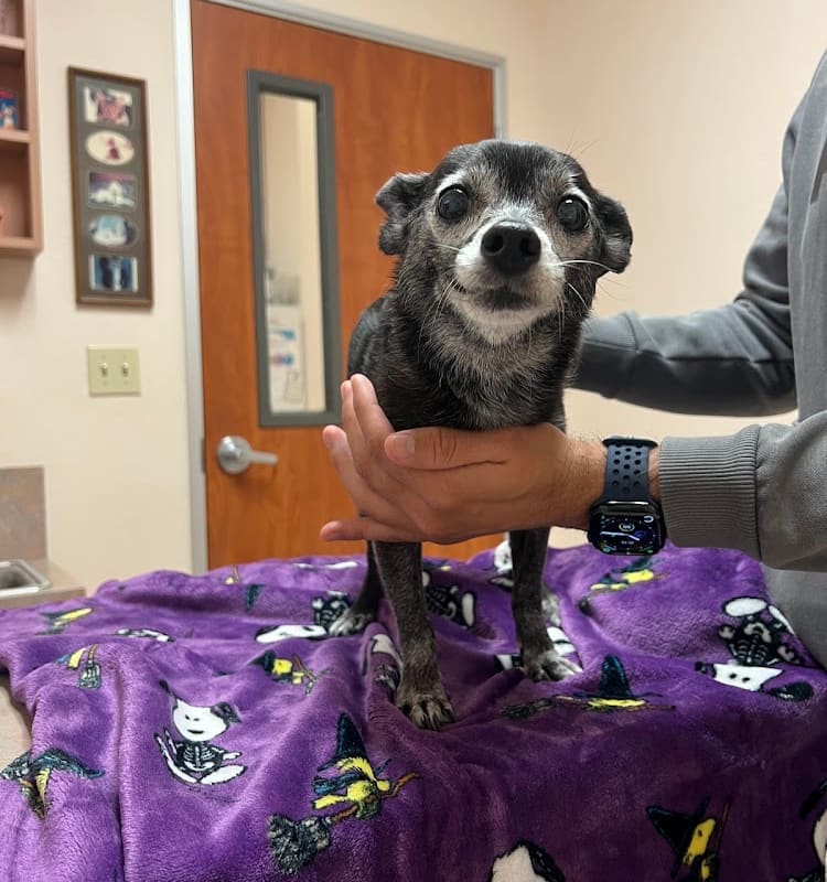 Muir Oaks Veterinary Hospital