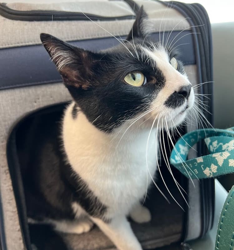 Napa West Pet Hospital