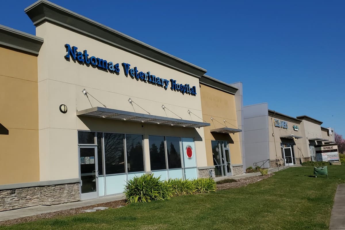 Natomas Veterinary Hospital