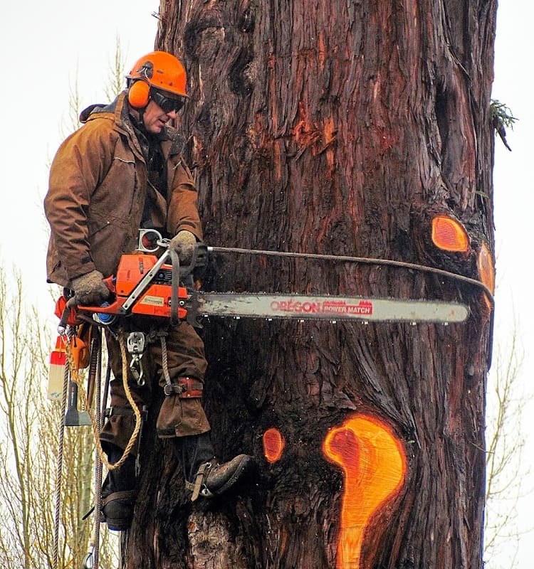 Nelson's Tree Service