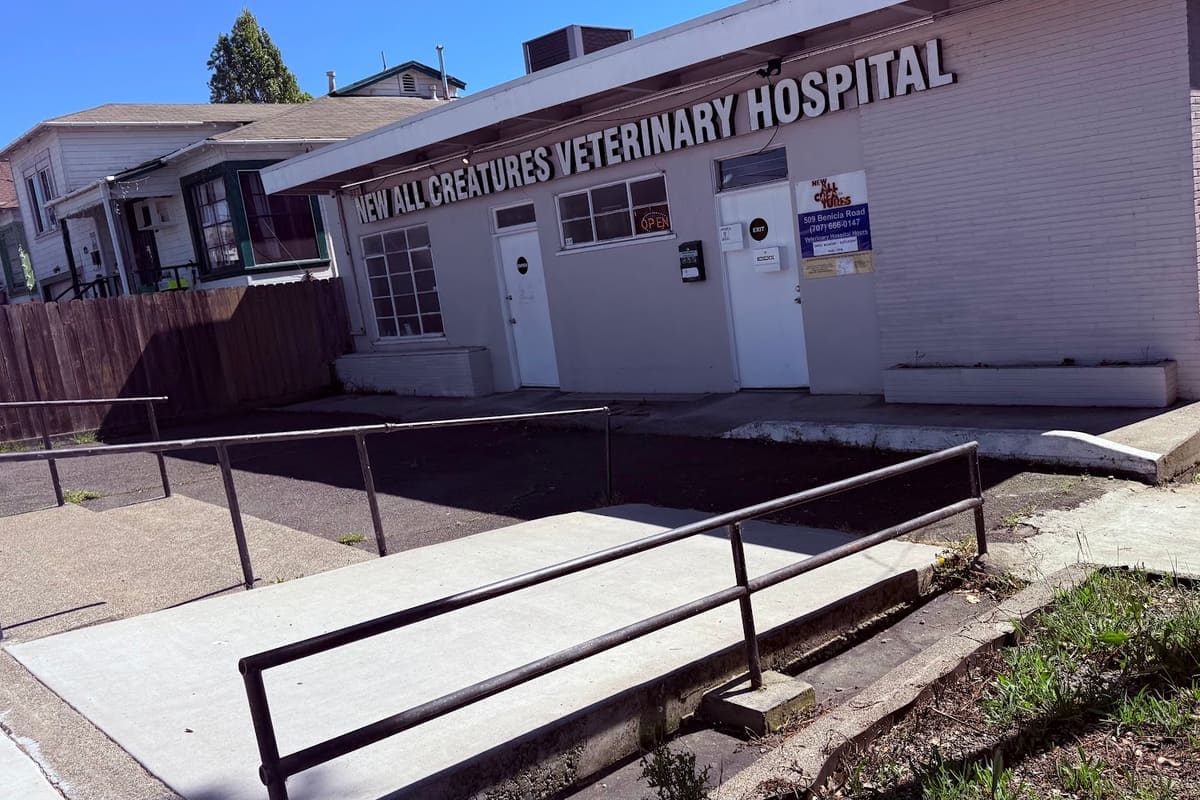 New All Creatures Veterinary Hospital