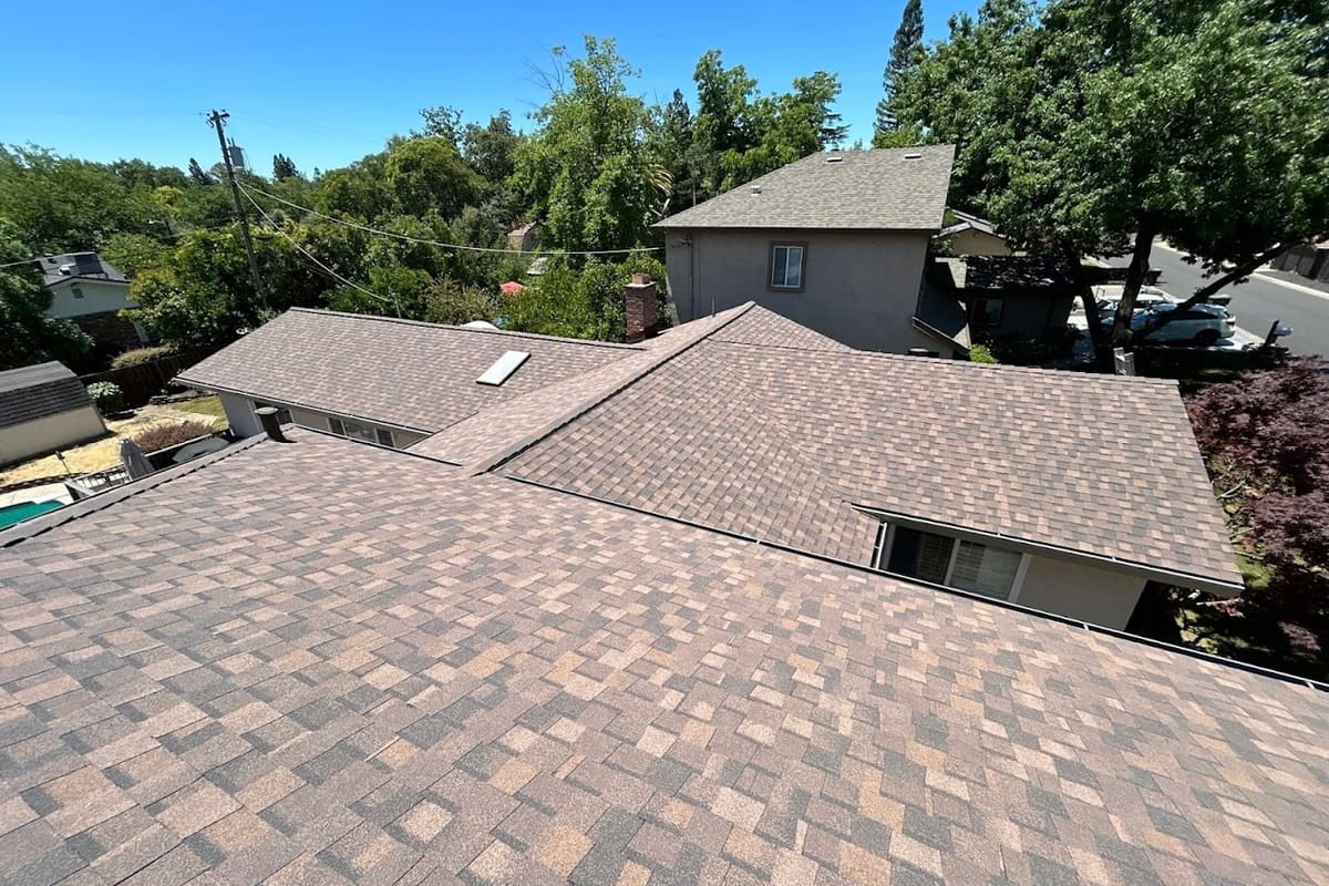 Noah's Roofing