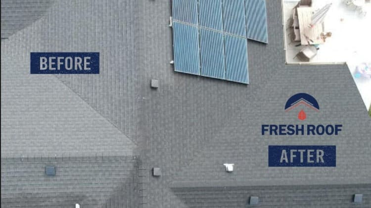 North West Fresh Roof