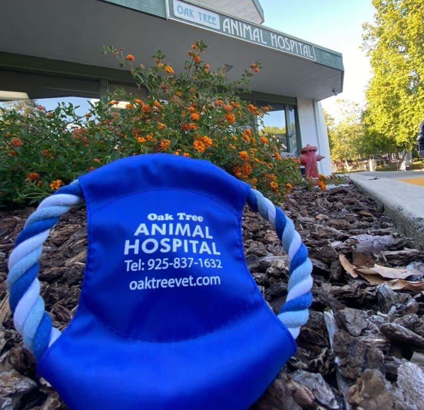 Oak Tree Animal Hospital