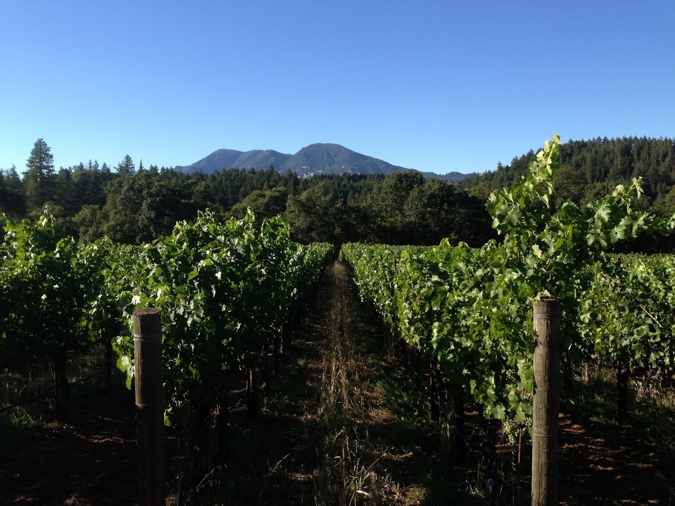 Oakville Pump Service Inc — Water Treatment in Napa, CA