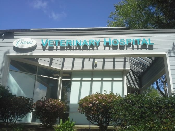 Oasis Veterinary Hospital