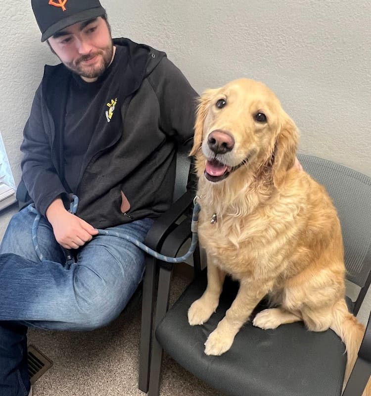 Olive Tree Animal Hospital