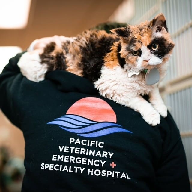 Pacific Veterinary Emergency and Specialty Hospital
