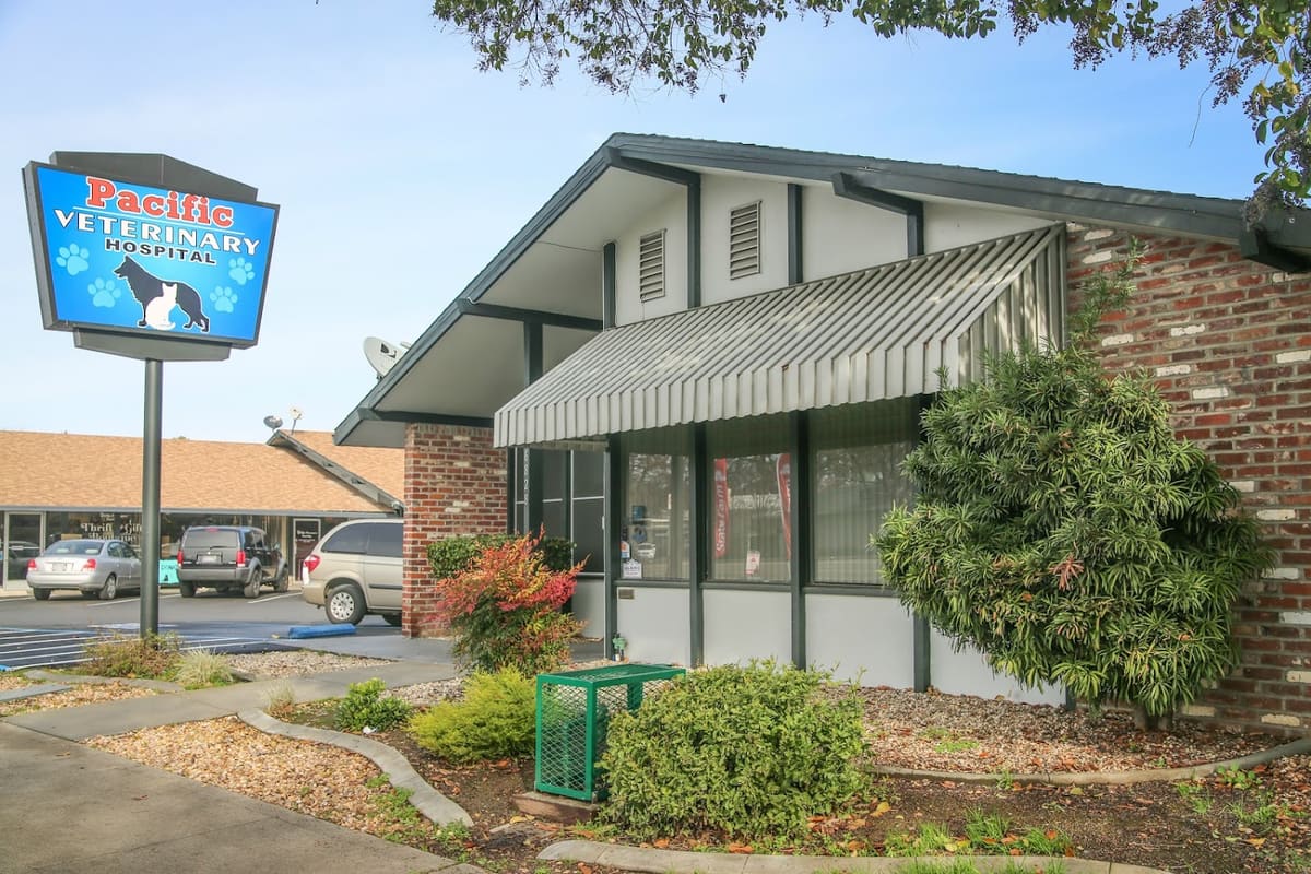 Pacific Veterinary Hospital Stockton