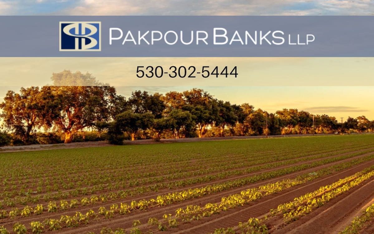 Pakpour Banks LLP - Davis Divorce Lawyer