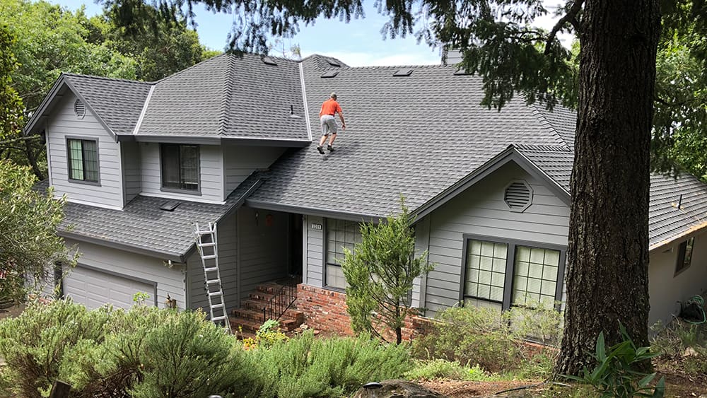 Palmer Roofing Service, Inc.
