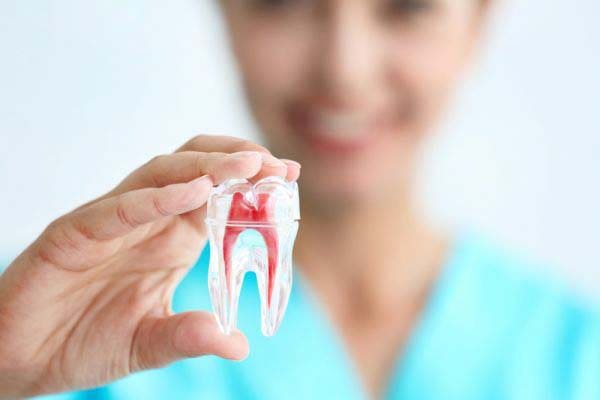 Patterson Family Dental