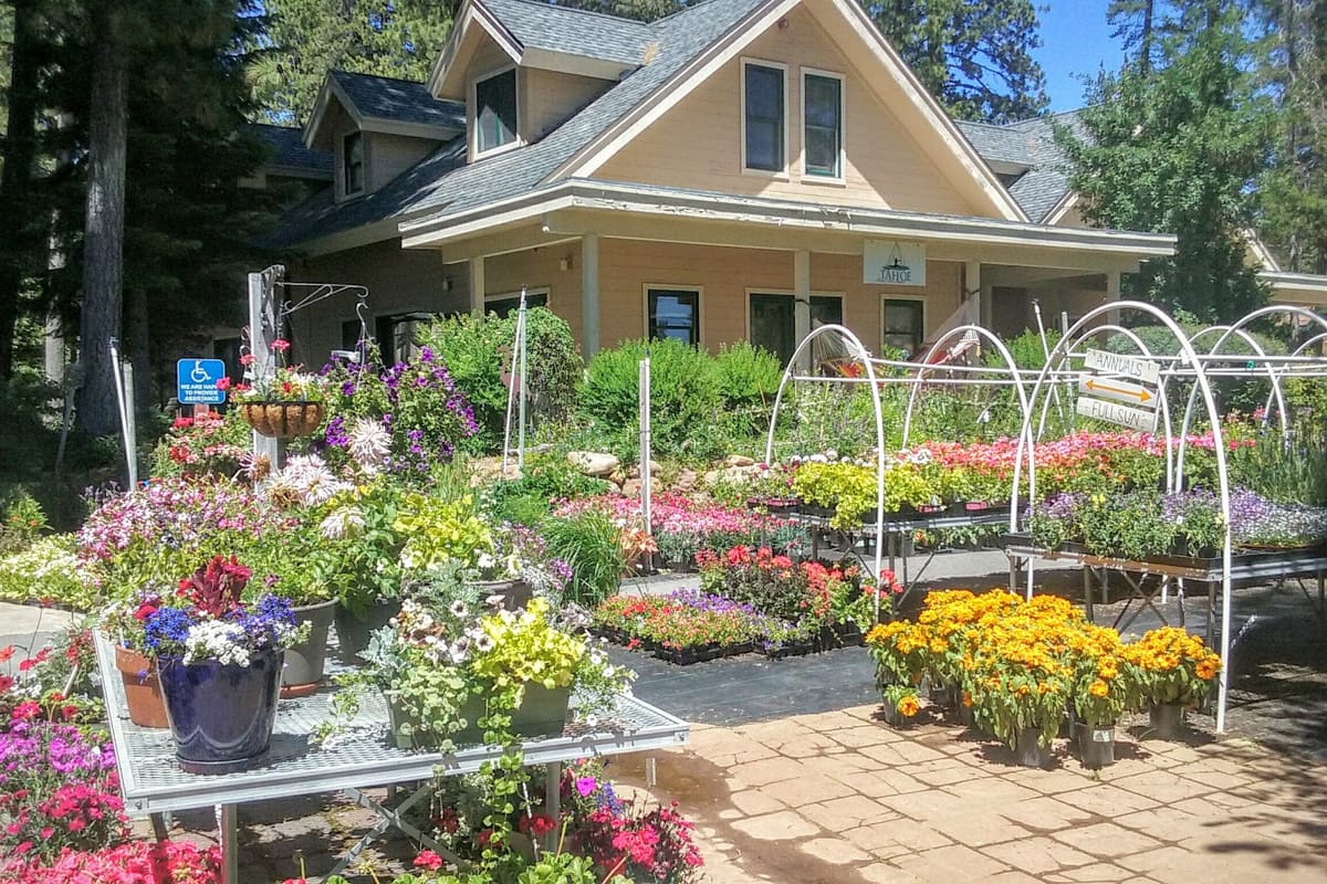 Perennial Landscape & Nursery