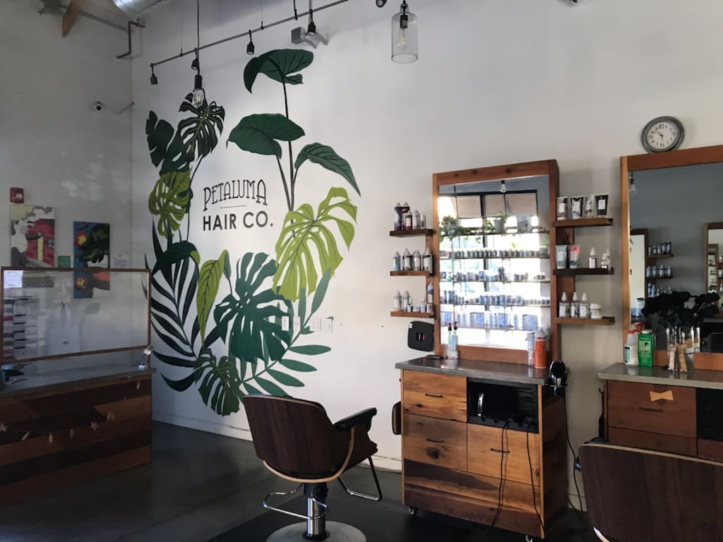 Petaluma Hair Company
