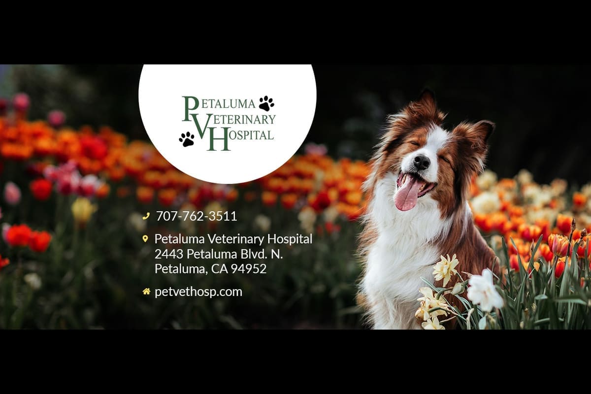 Petaluma Veterinary Hospital