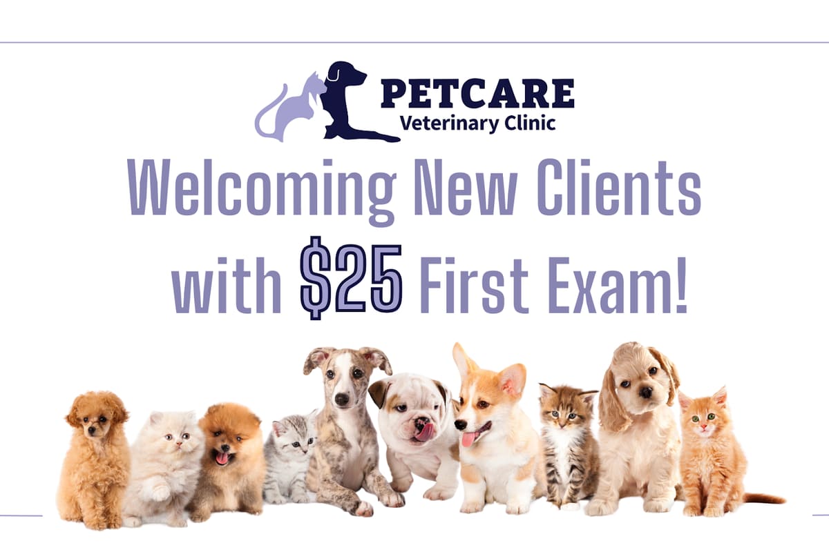PetCare Veterinary Clinic