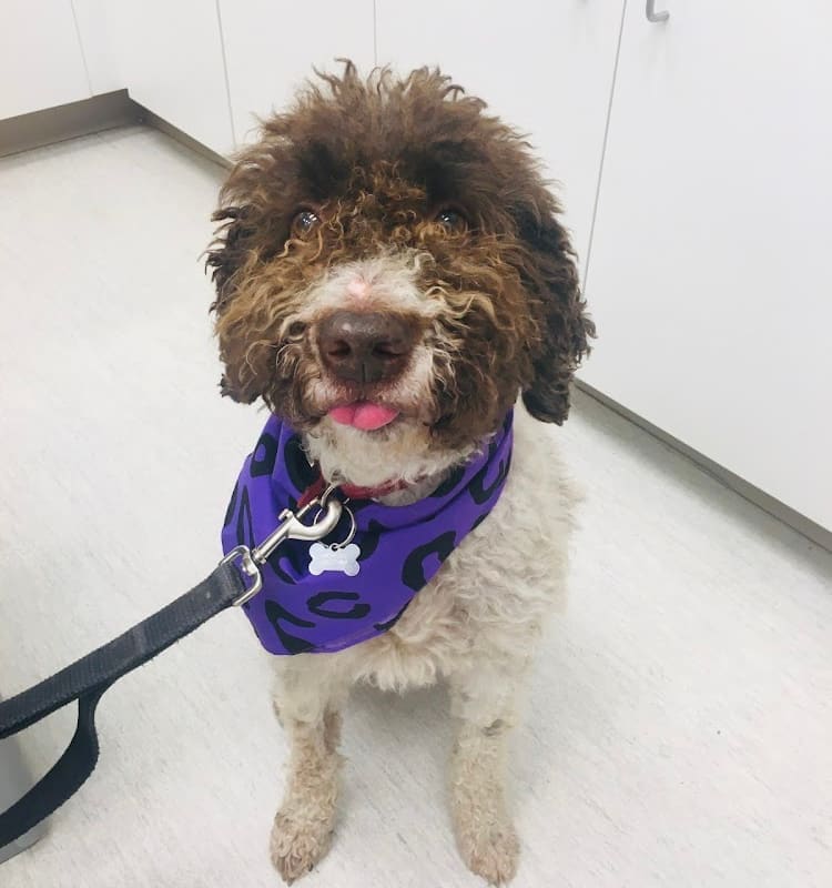 PETS Referral Center