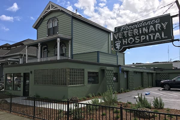 Providence Veterinary Hospital