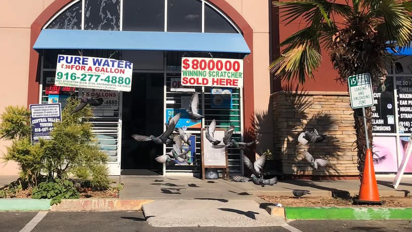 Pure Water - Purified & Alkaline Water Dispensary — Water Coolers in Florin, CA