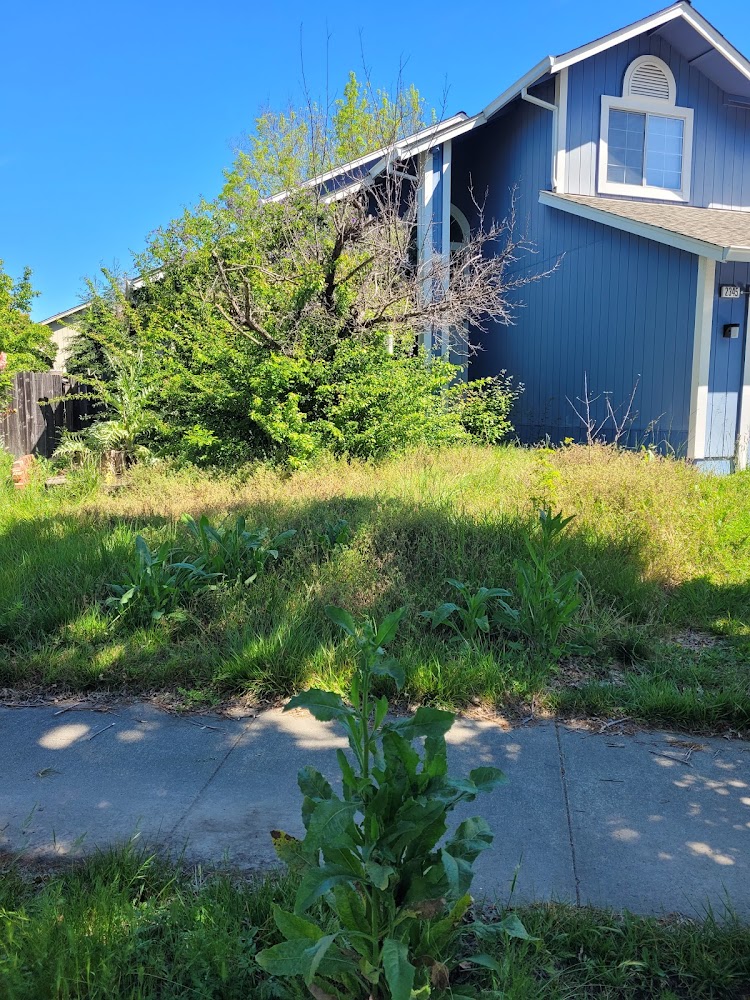 Redwood Residential Property Management
