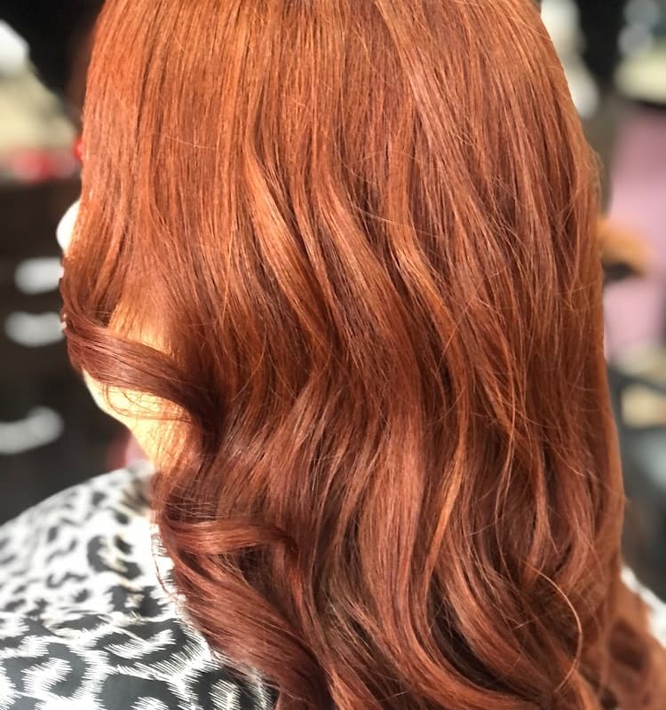 Regina Salon