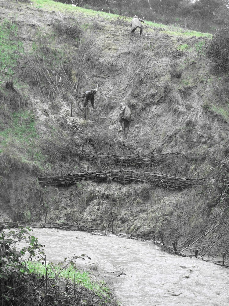 Ridge To River Environmental — Water Treatment in Fort Bragg, CA