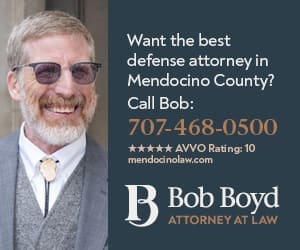 Robert Boyd Attorney at Law