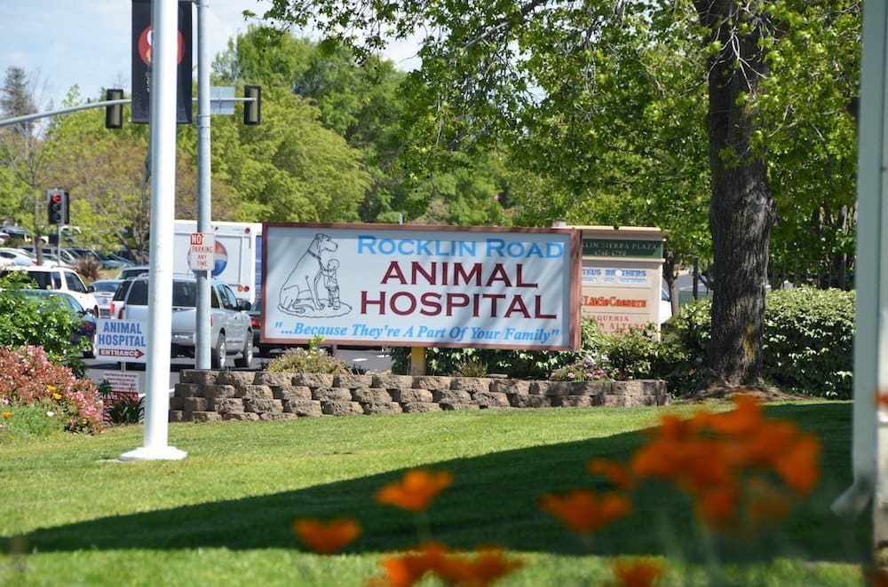 Rocklin Road Animal Hospital