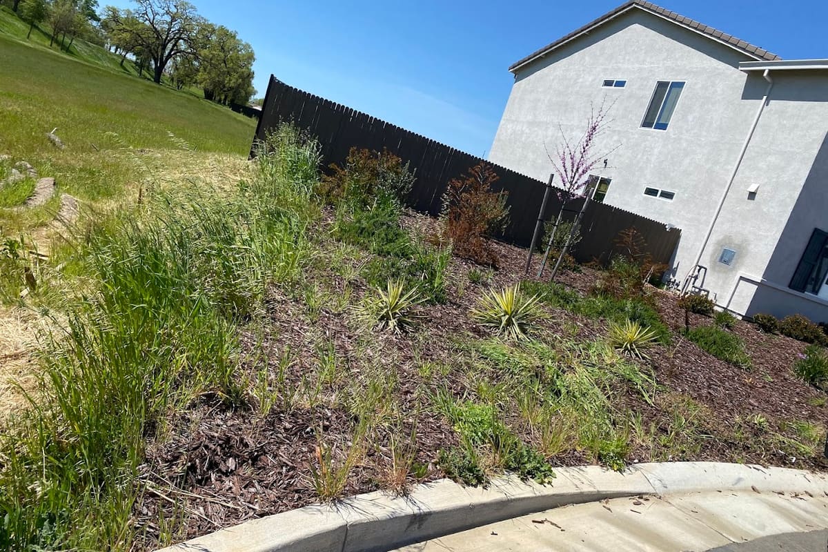 RRM LANDSCAPE AND GARDEN MANTENANCE
