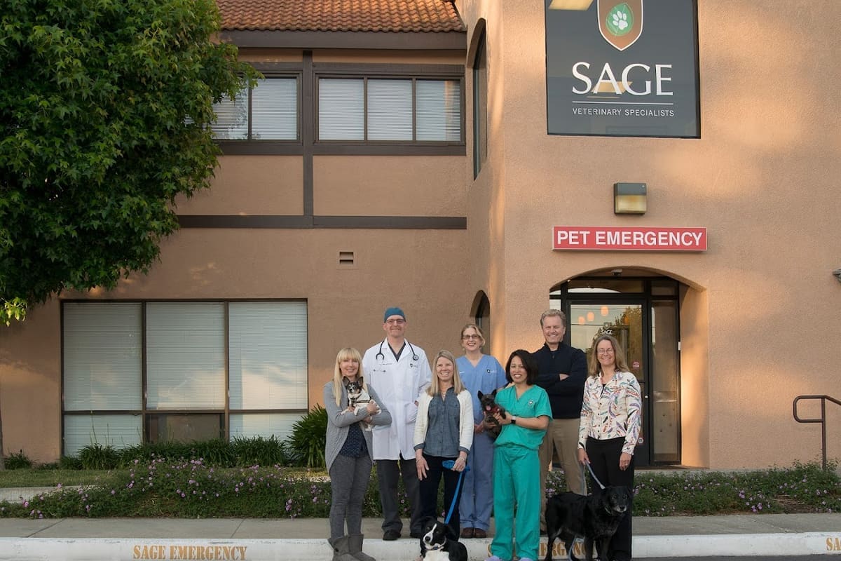 SAGE Veterinary Centers - Concord
