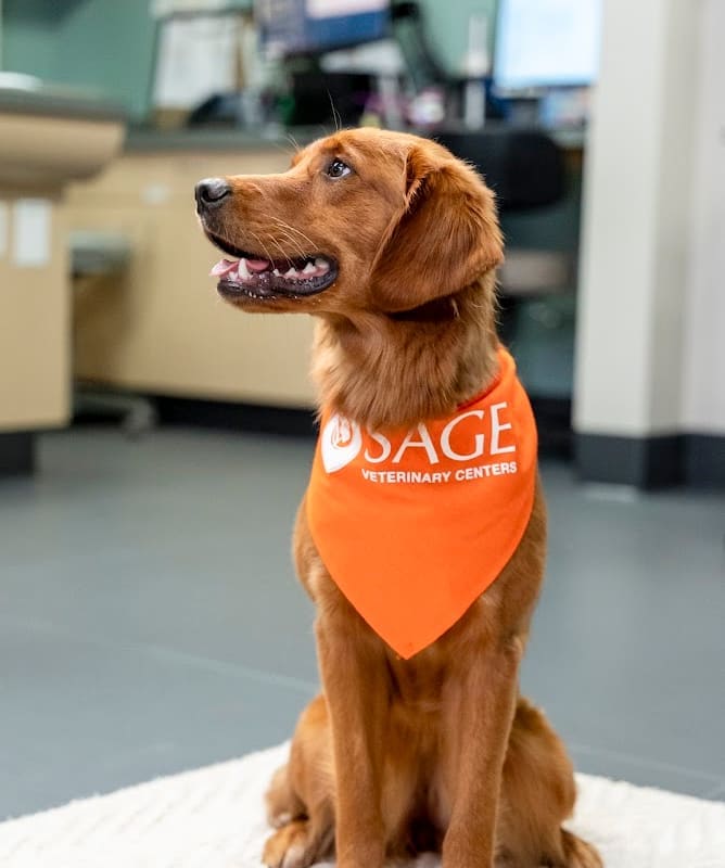 SAGE Veterinary Centers - Dublin