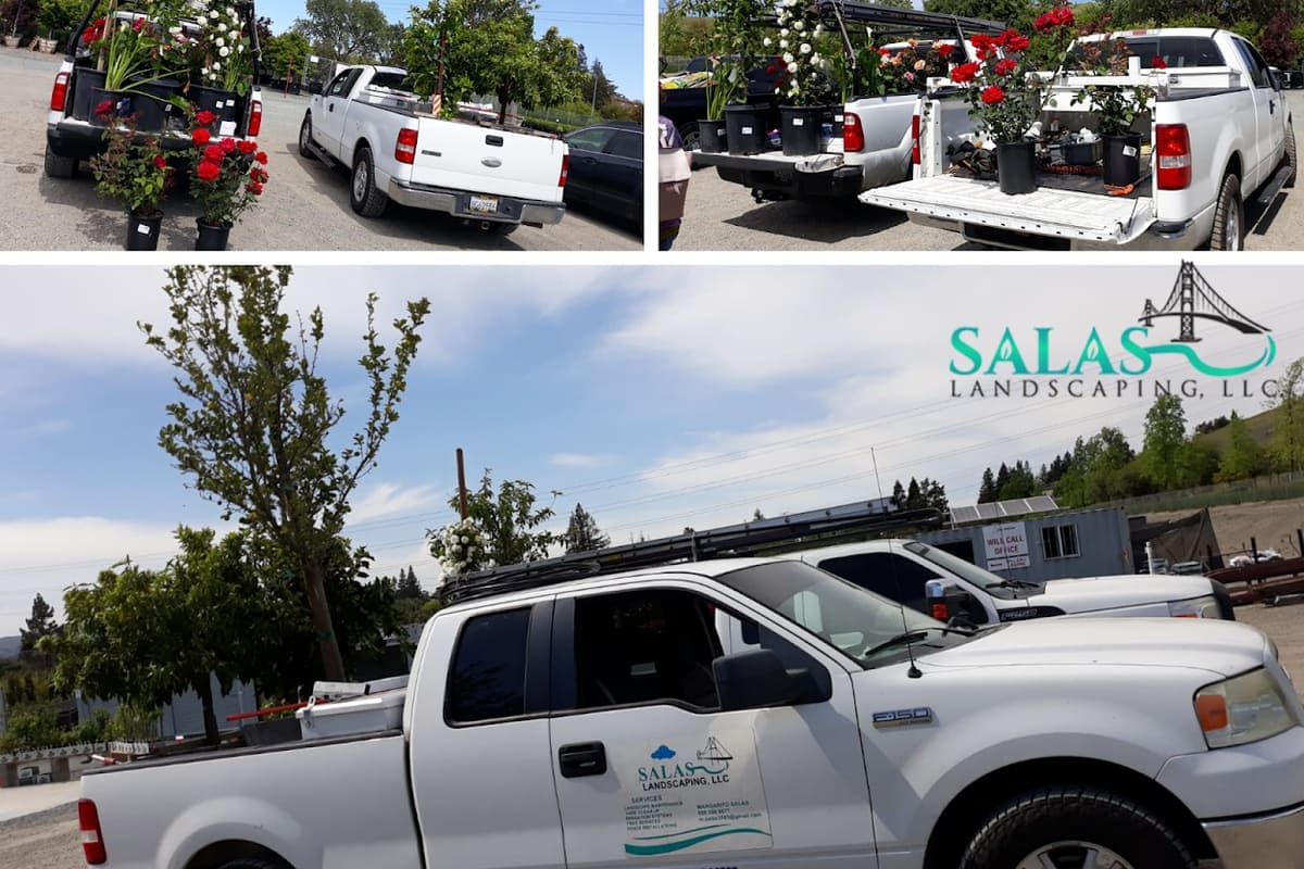 Salas Landscaping LLC