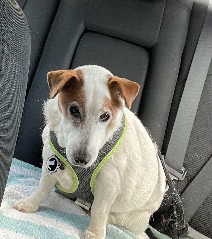 San Ramon Veterinary Hospital