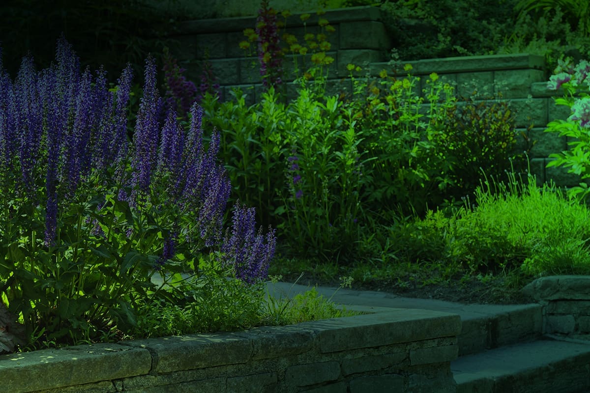 Sanchez Brothers Landscaping - Bay Area Landscape Design